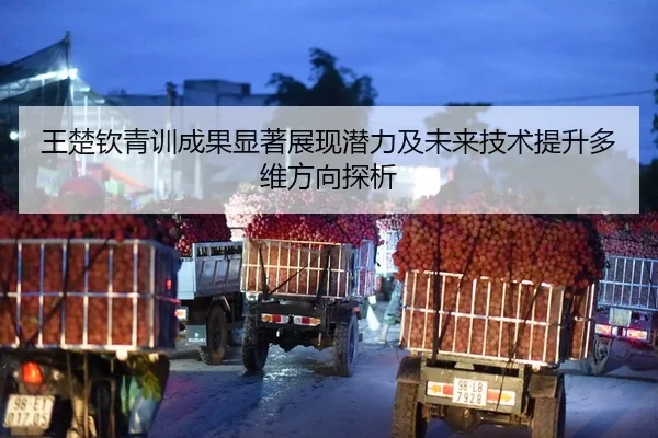 王楚钦青训成果显著展现潜力及未来技术提升多维方向探析（BANDAO SPORTS）